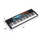 Portable 49-Key Kids Keyboard Piano with 8 Rhythms, 8 Tones and Microphone